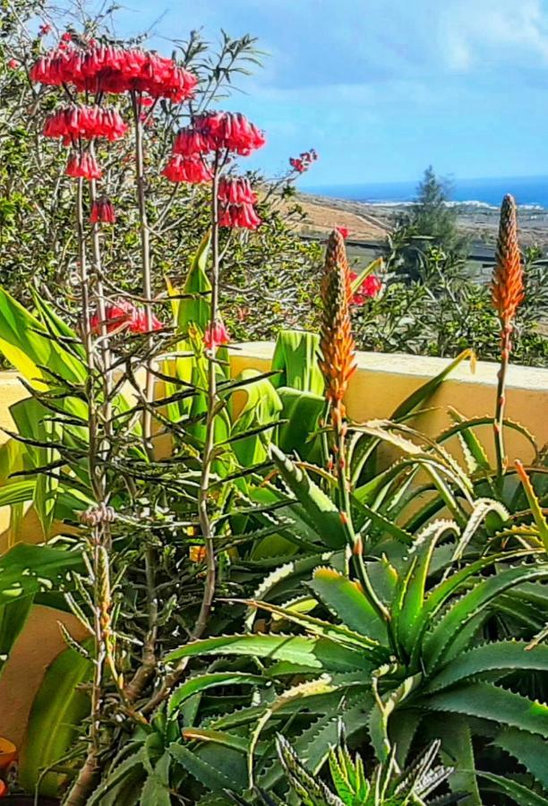 Casitas Tabayesco Pension Buitenkant foto